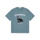 Haze Blue-Dachshund Puppy