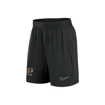 Nike Florida A&M Men's Nike Dri FIT College Woven Shorts