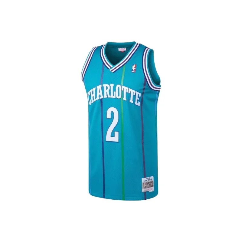NBA Charlotte Hornets Mitchell & Ness Larry Johnson Basketball Jerseys Men's Cyan-0