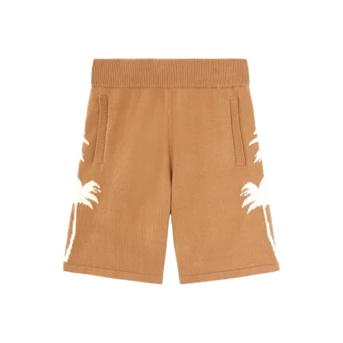 PALM ANGELS Palm Tree Intarsia Elastic Waist Knitted Shorts