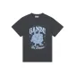 Volcanic Gray