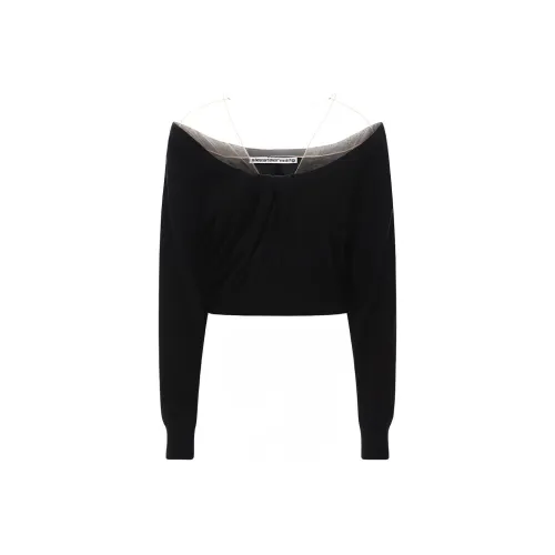 Alexander Wang Cropped Hoodie