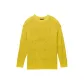 Ginger Yellow