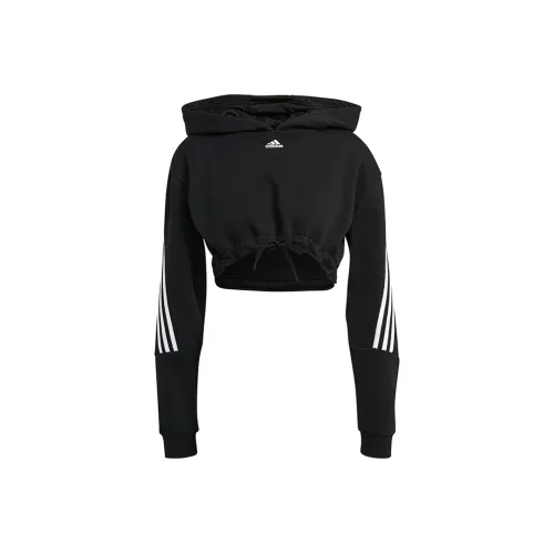 Adidas Crop sport Sweatshirt Women's Dry