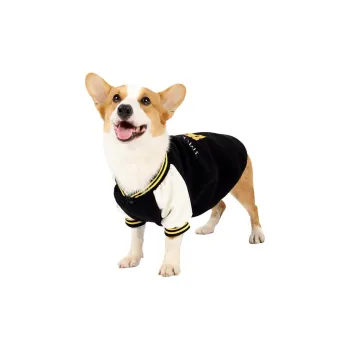 A good thing Pet Clothing