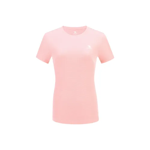 CAMEL T Shirts Women's