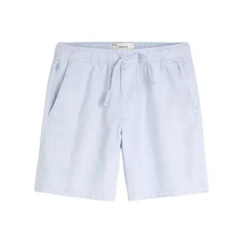 Hollister Casual Shorts Men's Light Blue Micro Stripes