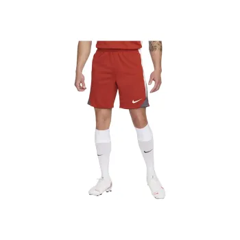 Nike Dri-Fit Men's Football Shorts Soccer Bottoms Men's Red