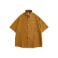 Ginger Yellow