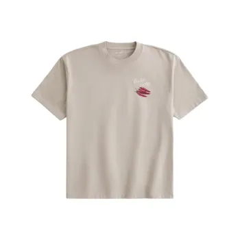 Hollister T Shirts Men Taupe