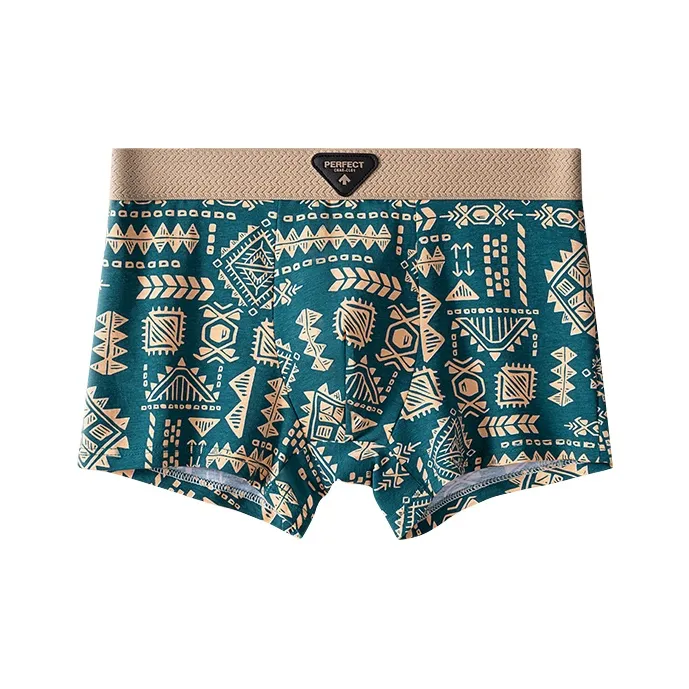 DUINIDESIYU Underpants Men's Combo Set-11