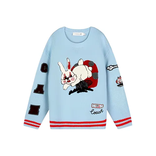 COACH X White Rabbit FW22 Cashmere Sweaters Women's Blue