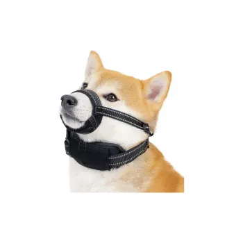 A good thing Leashes