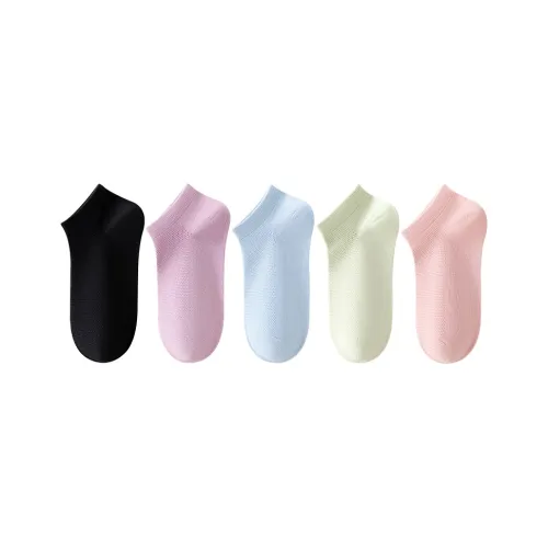 GRACEWELL No Show Socks Women's 5 Pack