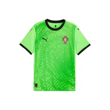 PUMA GoalkeeperDRYCELL Soccer Jerseys Men's Green Black