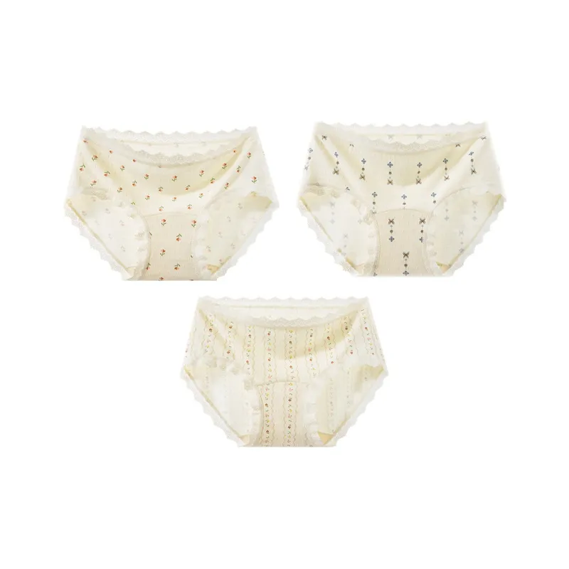 2323 Underpants Women's Combo Set-5