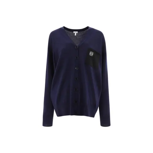 LOEWE Cashmere Sweaters Women's Blue
