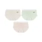 Creamy White+Light Green+Soft Apricot