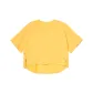 Mustard Seed Color