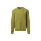 Olive Oils Green