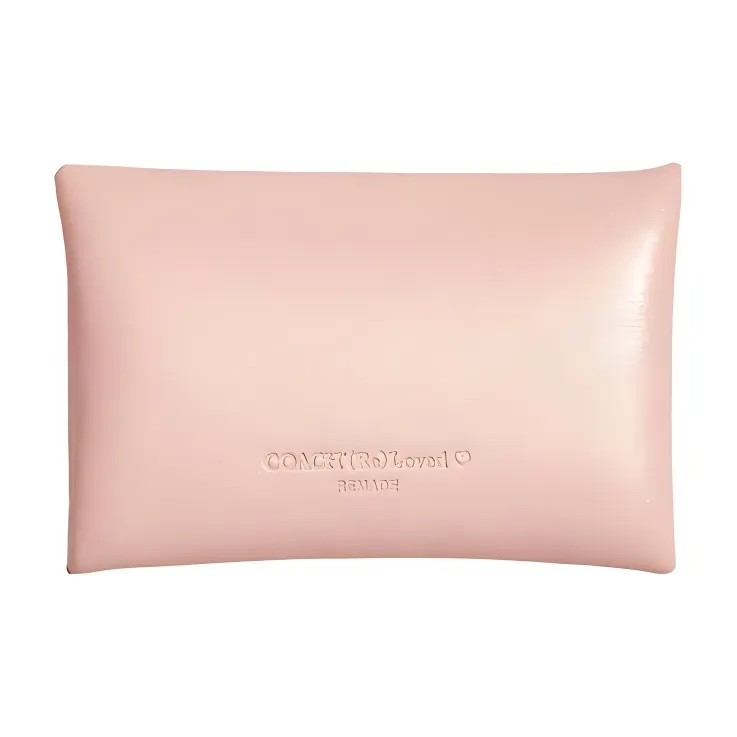 COACH Pouch Pebbled Leather Handbag Clutch Coin Purse Mini Women's Metal Pink-1