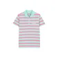 Pink Mint Green Stripes