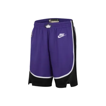 Nike Sacramento Kings 2024/25 Hardwood Classics Men's Nike Dri FIT Nba Swingman Shorts