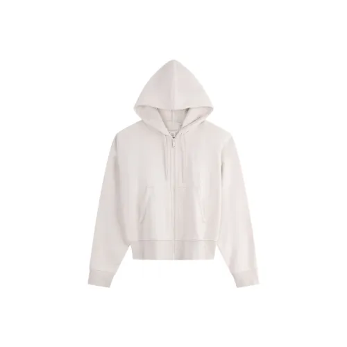 CALVIN KLEIN Sweatshirt Women's