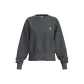 Meteorite Gray