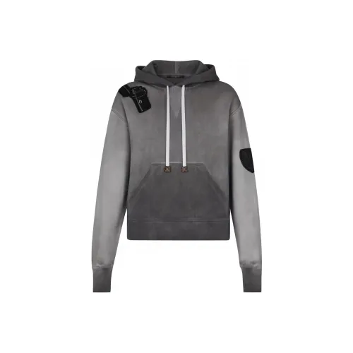 LOUIS VUITTON Sweatshirt Women's Gray