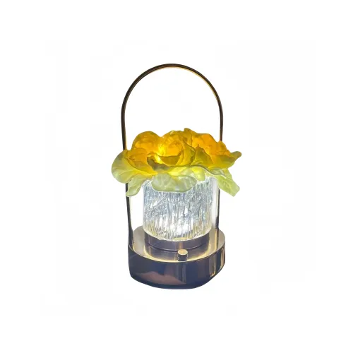 XZAN Preserved Flower Night Light