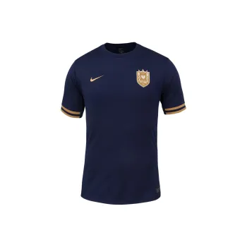 Nike Seattle Reign Fc 2025 Stadium Home Men's Nike Dri FIT Nwsl Replica Jersey