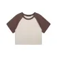 Beige Apricot