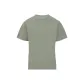 Gray Green