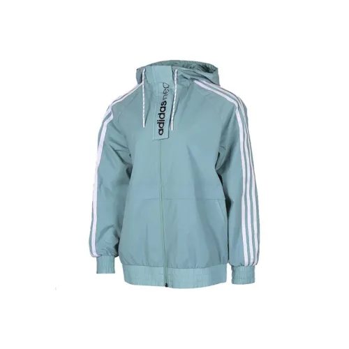 Adidas Neo Jackets Women's Steam White/Asphalt Gray/Black