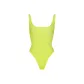 DAFFODIL/Narcissus
