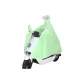 5XL Mirror Case-Mint Green