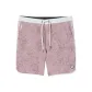 Zion Rose Water Lily/Zion Rose Water Lily