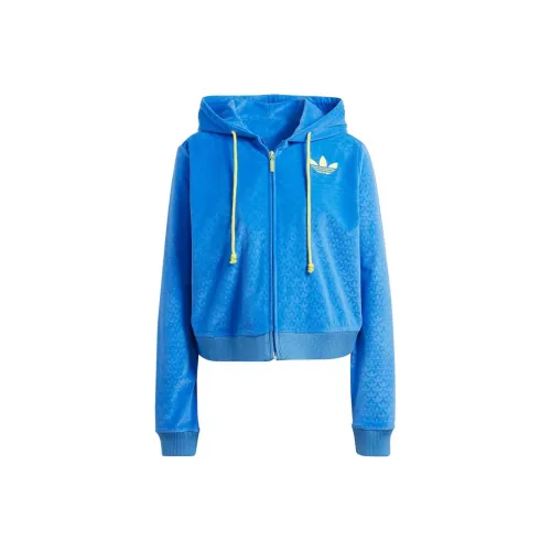 Adidas Originals ADICOLOR HERITAGE NOW Sweatshirts Women's Blue