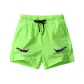 Neon Green