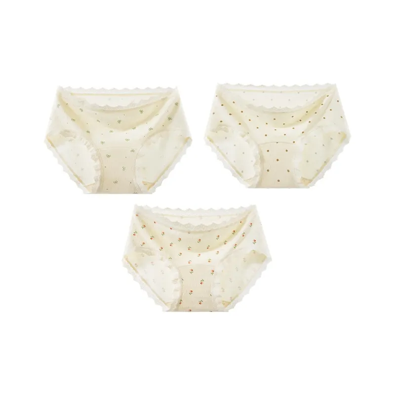 2323 Underpants Women's Combo Set-3