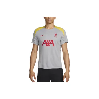 Nike LiverpoolDri Fit FW24 F.C. Strike Third Soccer Jerseys Men's Light Smoke Gray