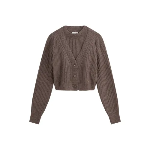 CALVIN KLEIN Knitwear Women's Dark Taupe