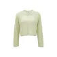 A03 Shimmer Green GLEAM