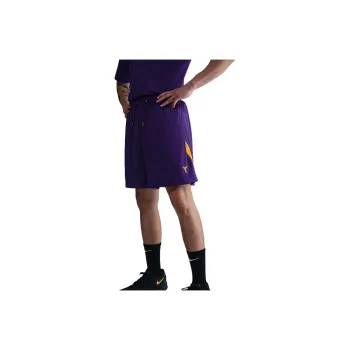 Nike Basketball Shorts Men's Palace Purple