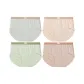 Phoenix Dance Gray+Beige Yellow+Matcha Green+Light Coffee