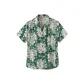 Green/Conifer Green