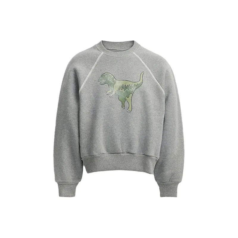 COACH Sweatshirts Women's Gray-0