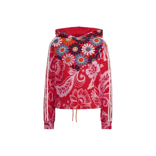 Adidas Originals Sweatshirts Women's Pink Orange
