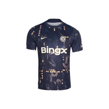 Nike Chelsea Fc Academy Pro Se Men's Nike Dri FIT Soccer Pre Match Short Sleeve Top